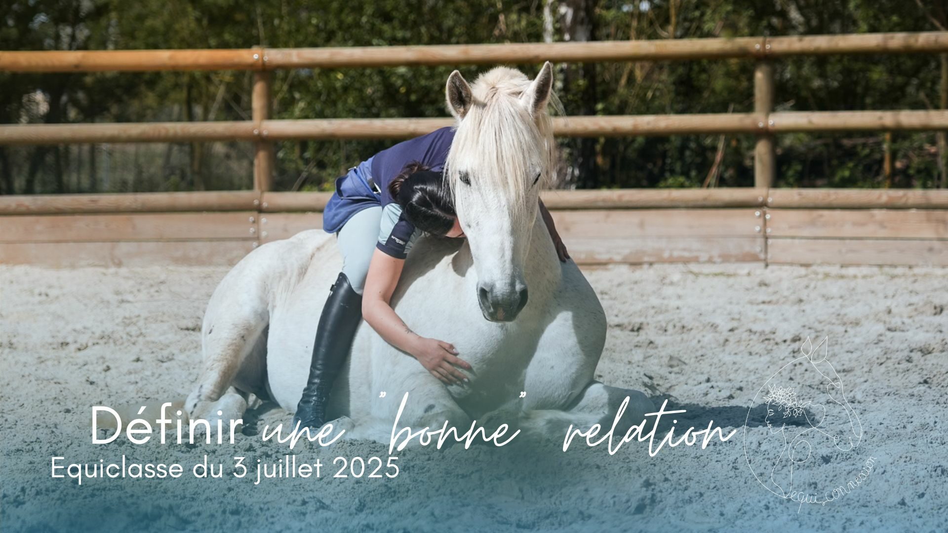 C&rsquo;est quoi une « bonne » relation avec nos chevaux ?