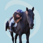 Equiconnexion